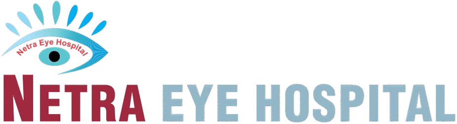 Netra Eye Hospital Logo